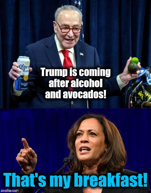 Trump is coming
after alcohol
and avocados! That's my breakfast! | image tagged in kamala harris,memes,alcohol,avocados,mexico,trade war | made w/ Imgflip meme maker