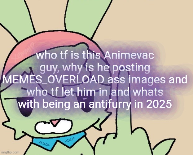 RAHHHHH FUCK YOU | who tf is this Animevac guy, why is he posting MEMES_OVERLOAD ass images and who tf let him in and whats with being an antifurry in 2025 | image tagged in rahhhhh fuck you | made w/ Imgflip meme maker