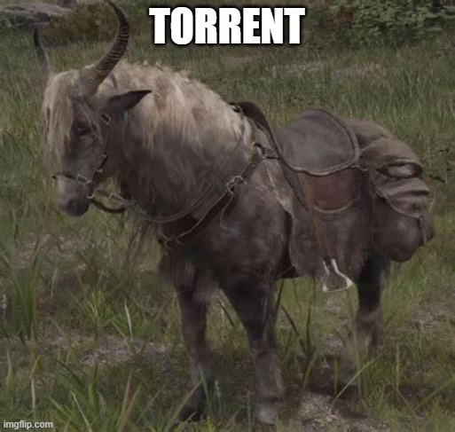 TORRENT | made w/ Imgflip meme maker