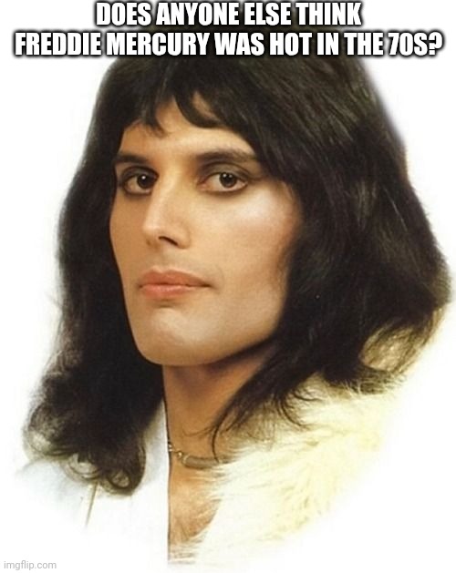 DOES ANYONE ELSE THINK FREDDIE MERCURY WAS HOT IN THE 70S? | image tagged in freddie mercury,queen | made w/ Imgflip meme maker