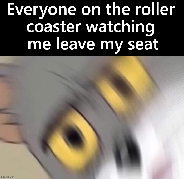 Sit down | Everyone on the roller 
coaster watching 
me leave my seat | image tagged in dark humor | made w/ Imgflip meme maker