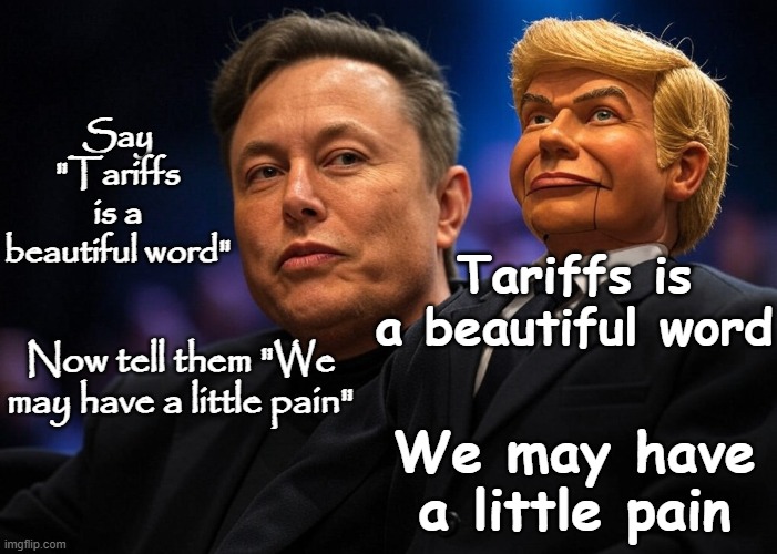 Elon Musk and his puppet Donald Trump Tariffs and the American taxpayer #elonald | Say "Tariffs is a beautiful word"; Tariffs is a beautiful word; Now tell them "We may have a little pain"; We may have a little pain | image tagged in republican,doge,billionaires,oligarchy,economy,egg prices | made w/ Imgflip meme maker