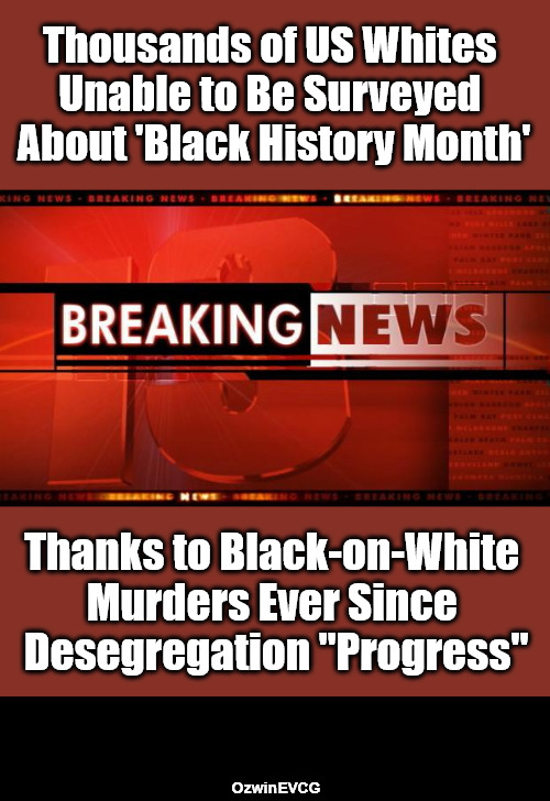 Decades of Discounted American History | Thousands of US Whites 

Unable to Be Surveyed 

About 'Black History Month'; Thanks to Black-on-White 

Murders Ever Since 

Desegregation "Progress"; OzwinEVCG | image tagged in black people,white people,black history month,desegregation,myth of progress,antiwhite double standards | made w/ Imgflip meme maker