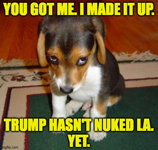 Sad puppy | YOU GOT ME. I MADE IT UP. TRUMP HASN'T NUKED LA.
YET. | image tagged in sad puppy | made w/ Imgflip meme maker