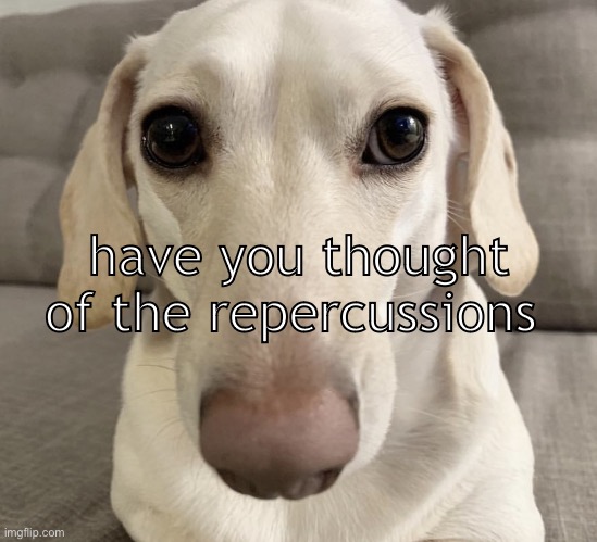 Have you | have you thought of the repercussions | image tagged in homophobic dog | made w/ Imgflip meme maker