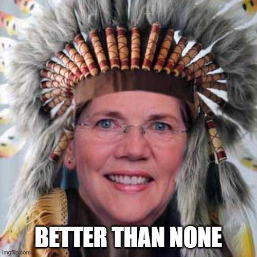 Liz Warren | BETTER THAN NONE | image tagged in liz warren | made w/ Imgflip meme maker