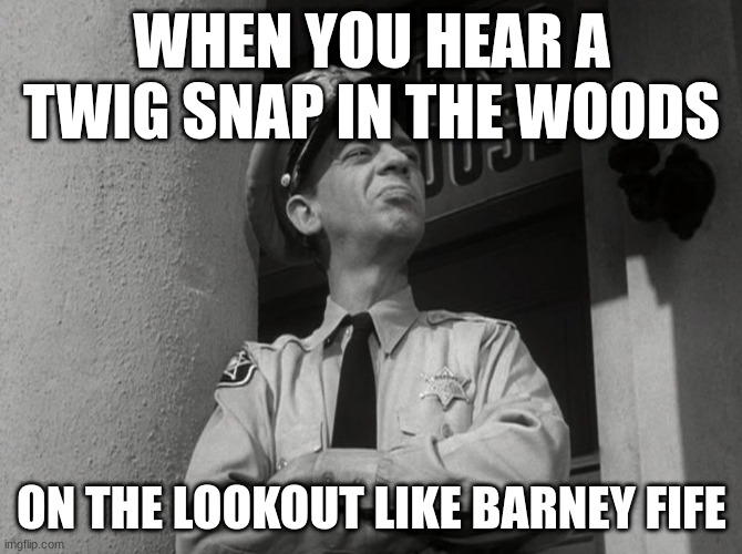 Barney Fife Proud | WHEN YOU HEAR A TWIG SNAP IN THE WOODS; ON THE LOOKOUT LIKE BARNEY FIFE | image tagged in barney fife proud | made w/ Imgflip meme maker