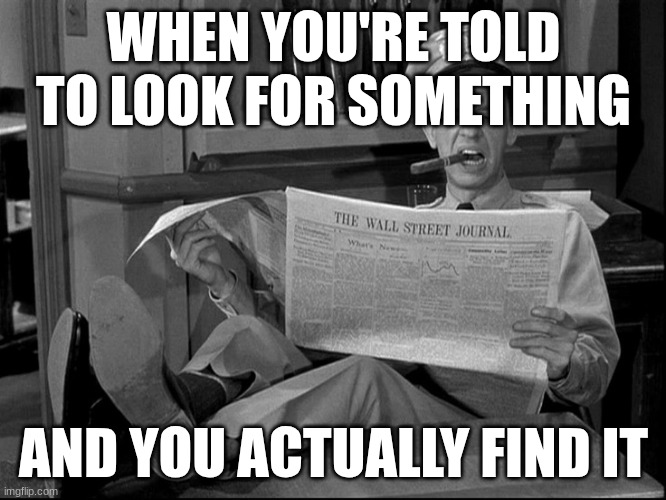 barney fife | WHEN YOU'RE TOLD TO LOOK FOR SOMETHING; AND YOU ACTUALLY FIND IT | image tagged in barney fife | made w/ Imgflip meme maker