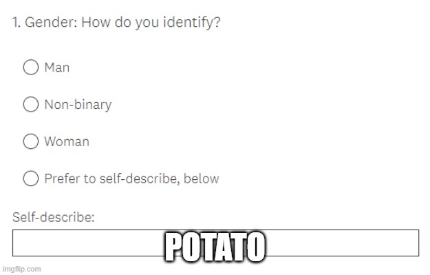 How do you self-identify? | POTATO | image tagged in how do you self-identify,gender identity,potato | made w/ Imgflip meme maker