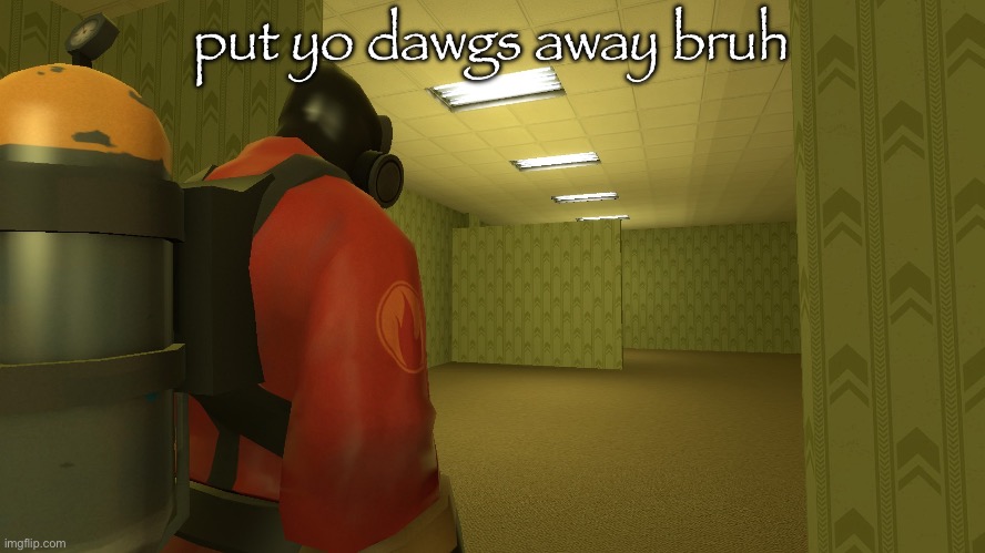 pyro backrooms | put yo dawgs away bruh | image tagged in pyro backrooms | made w/ Imgflip meme maker