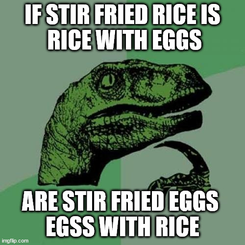 Philosoraptor | IF STIR FRIED RICE IS
 RICE WITH EGGS; ARE STIR FRIED EGGS 
EGSS WITH RICE | image tagged in memes,philosoraptor | made w/ Imgflip meme maker