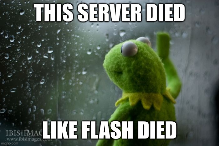 where did y'all go? | THIS SERVER DIED; LIKE FLASH DIED | image tagged in kermit window | made w/ Imgflip meme maker