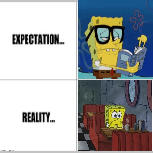 Expectation vs Reality | image tagged in expectation vs reality | made w/ Imgflip meme maker