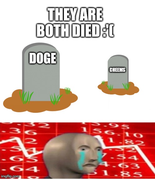 Buff Doge vs. Cheems Meme | DOGE CHEEMS THEY ARE BOTH DIED :'( | image tagged in memes,buff doge vs cheems | made w/ Imgflip meme maker