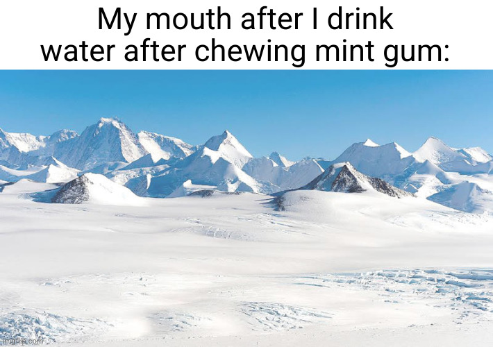 "why TF did I do this?" | My mouth after I drink water after chewing mint gum: | image tagged in antarctica,funny,mint gum,bubblegum,water,relatable | made w/ Imgflip meme maker