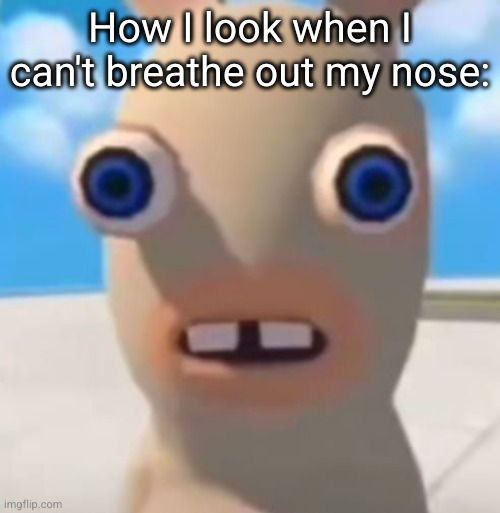 I look like a retard | How I look when I can't breathe out my nose: | image tagged in idiot rabbid,rabid,funny,relatable,nose,breathing | made w/ Imgflip meme maker