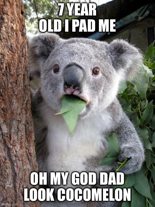 Koala | 7 YEAR OLD I PAD ME; OH MY GOD DAD LOOK COCOMELON | image tagged in memes,surprised koala | made w/ Imgflip meme maker