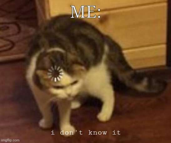 Loading cat | ME: i don't know it | image tagged in loading cat | made w/ Imgflip meme maker