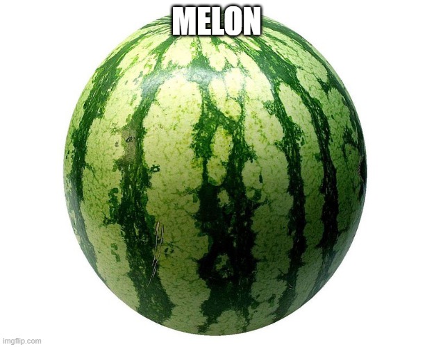 MELON | made w/ Imgflip meme maker