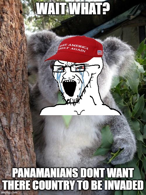 Gulf of Mexico* | WAIT WHAT? PANAMANIANS DONT WANT THERE COUNTRY TO BE INVADED | image tagged in memes,surprised koala | made w/ Imgflip meme maker