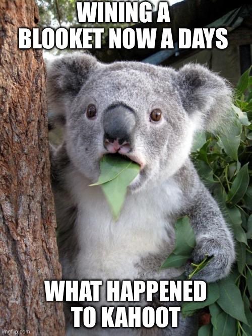 Surprised Koala Meme | WINING A BLOOKET NOW A DAYS; WHAT HAPPENED TO KAHOOT | image tagged in memes,surprised koala | made w/ Imgflip meme maker