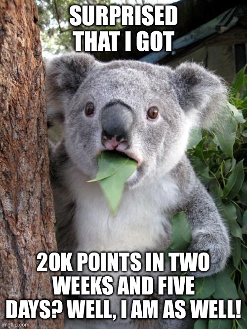 surprised much? | SURPRISED THAT I GOT; 20K POINTS IN TWO WEEKS AND FIVE DAYS? WELL, I AM AS WELL! | image tagged in memes,surprised koala,surprise,surprised | made w/ Imgflip meme maker