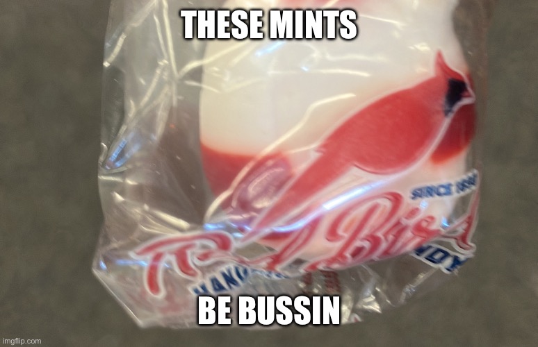 These are bussin | THESE MINTS; BE BUSSIN | made w/ Imgflip meme maker