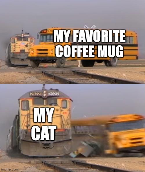 Confirmed Title | MY FAVORITE COFFEE MUG; MY CAT | image tagged in a train hitting a school bus,memes,funny,cats,coffee,relatable | made w/ Imgflip meme maker