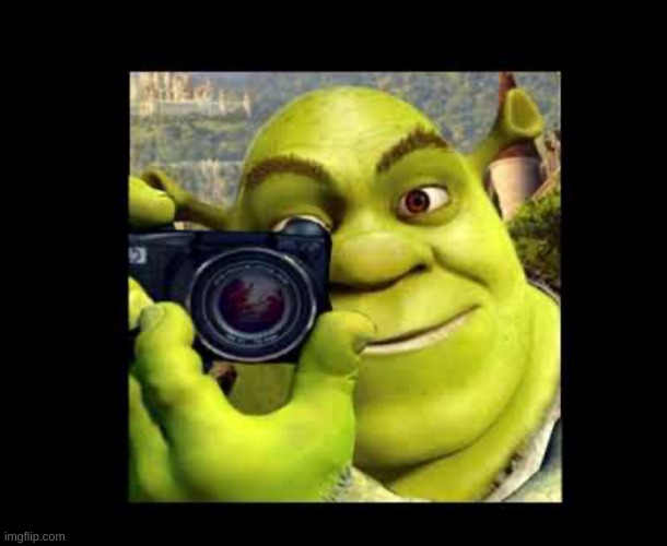 Shrek Taking A Photo Meme | image tagged in shrek taking a photo meme | made w/ Imgflip meme maker
