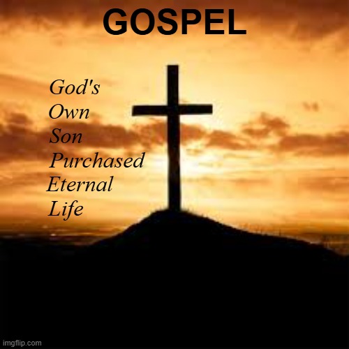 "For God so loved the world, that He gave His only begotten Son, that whosoever believeth in Him should not perish, but have eve | GOSPEL; God's        
Own          
Son           
Purchased
Eternal      
Life | image tagged in gospel,jesus | made w/ Imgflip meme maker