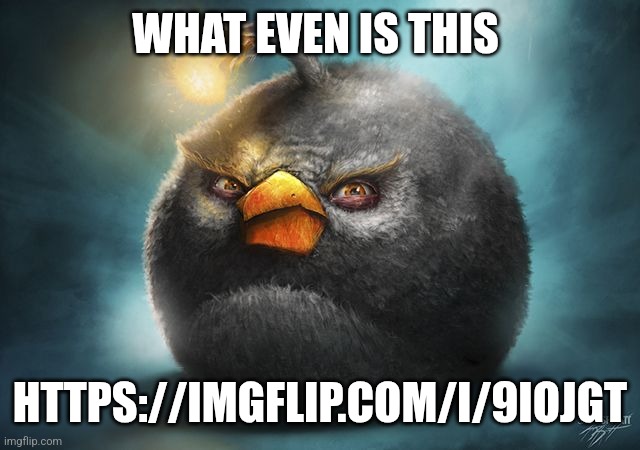 https://imgflip.com/i/9iojgt | WHAT EVEN IS THIS; HTTPS://IMGFLIP.COM/I/9IOJGT | image tagged in angry birds bomb | made w/ Imgflip meme maker