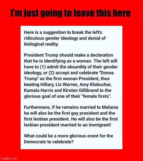 Do you support this? | I’m just going to leave this here | image tagged in bigass red blank template,gender | made w/ Imgflip meme maker