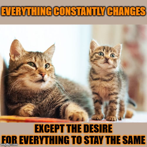 This #lolcat wonders why hoo-mens are afraid of change | EVERYTHING CONSTANTLY CHANGES; EXCEPT THE DESIRE
FOR EVERYTHING TO STAY THE SAME | image tagged in lolcat,change,conservative | made w/ Imgflip meme maker