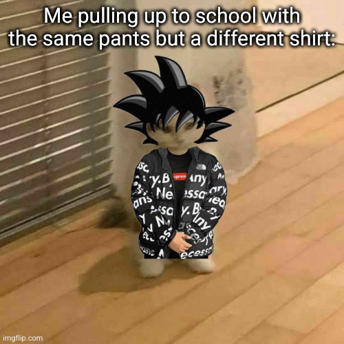 this is full level drip | Me pulling up to school with the same pants but a different shirt: | image tagged in goku drip cat,funny,relatable,anime,school,shirt | made w/ Imgflip meme maker