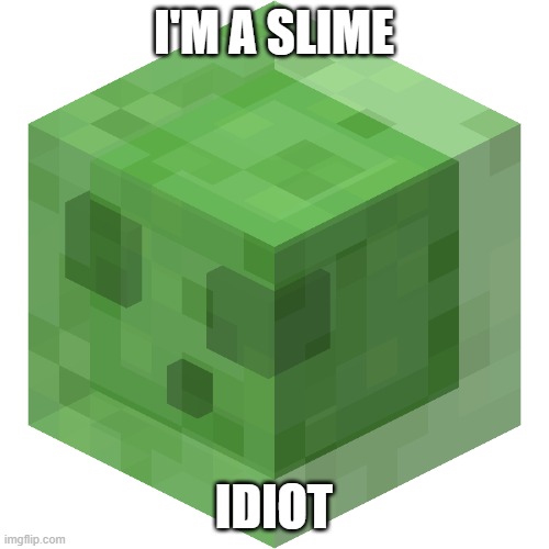 I'M A SLIME IDIOT | image tagged in minecraft slime | made w/ Imgflip meme maker