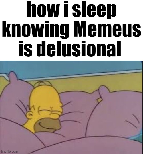 how i sleep homer simpson | how i sleep knowing Memeus is delusional | image tagged in how i sleep homer simpson | made w/ Imgflip meme maker