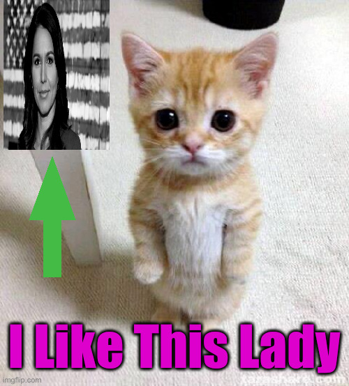 She Helps My Family | I Like This Lady | image tagged in memes,cute cat,funny memes,funny | made w/ Imgflip meme maker