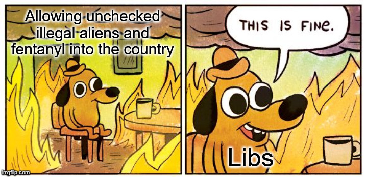 This Is Fine Meme | Allowing unchecked illegal aliens and fentanyl into the country Libs | image tagged in memes,this is fine | made w/ Imgflip meme maker