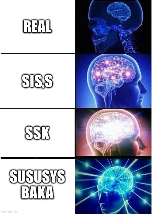 Expanding Brain | REAL; SIS,S; SSK; SUSUSYS BAKA | image tagged in memes,expanding brain | made w/ Imgflip meme maker