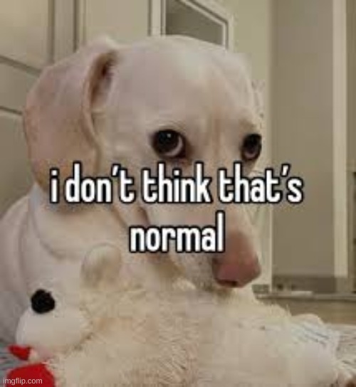 i don't think that's normal | image tagged in i don't think that's normal | made w/ Imgflip meme maker