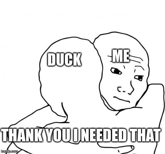 I Know That Feel Bro Meme | ME DUCK THANK YOU I NEEDED THAT | image tagged in memes,i know that feel bro | made w/ Imgflip meme maker