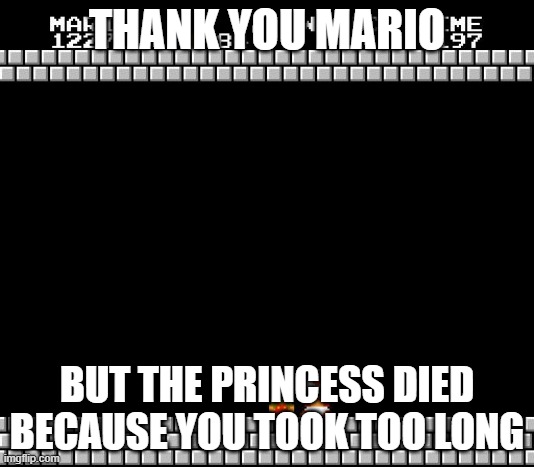 meme | THANK YOU MARIO; BUT THE PRINCESS DIED BECAUSE YOU TOOK TOO LONG | image tagged in thank you mario | made w/ Imgflip meme maker