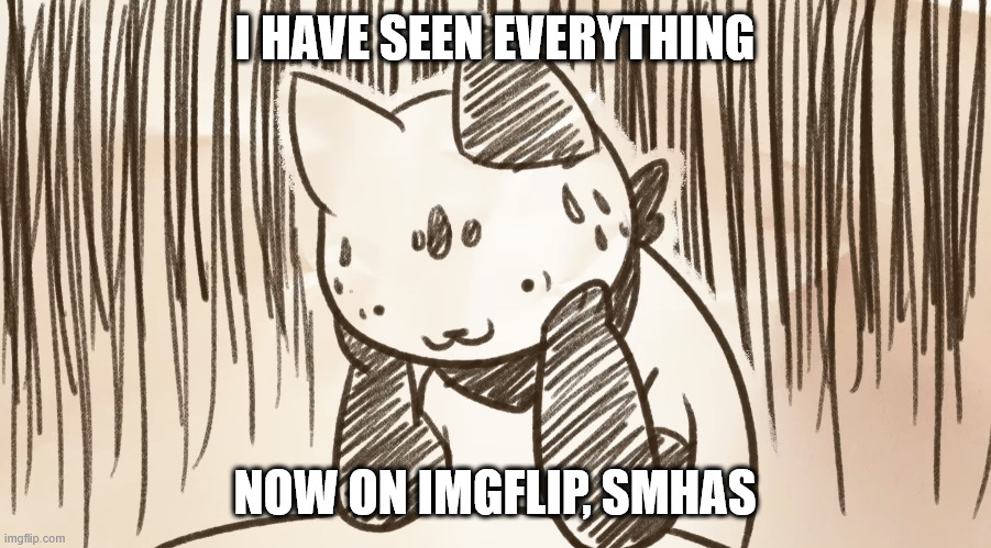 Chipflake questioning life | I HAVE SEEN EVERYTHING NOW ON IMGFLIP, SMHAS | image tagged in chipflake questioning life | made w/ Imgflip meme maker