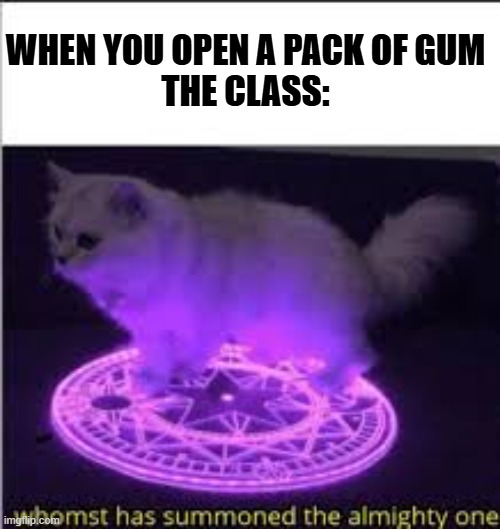 Whomst has Summoned the almighty one | WHEN YOU OPEN A PACK OF GUM
THE CLASS: | image tagged in whomst has summoned the almighty one | made w/ Imgflip meme maker