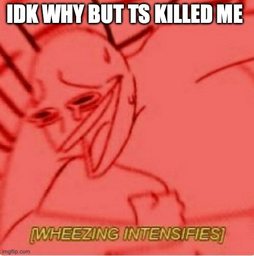Wheeze | IDK WHY BUT TS KILLED ME | image tagged in wheeze | made w/ Imgflip meme maker