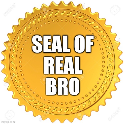 Seal of Approval  -  | SEAL OF
REAL
BRO | image tagged in seal of approval - | made w/ Imgflip meme maker