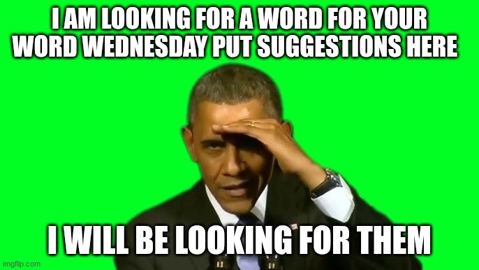 barack obama | I AM LOOKING FOR A WORD FOR YOUR WORD WEDNESDAY PUT SUGGESTIONS HERE; I WILL BE LOOKING FOR THEM | image tagged in barack obama | made w/ Imgflip meme maker