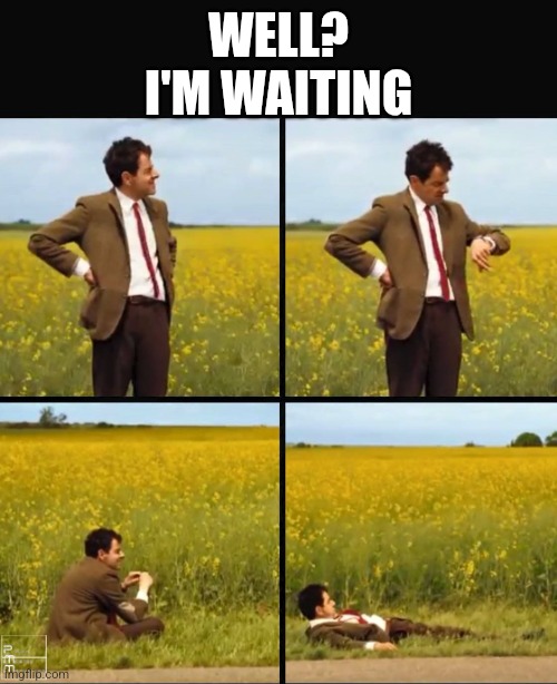 Mr bean waiting | WELL?
I'M WAITING | image tagged in mr bean waiting | made w/ Imgflip meme maker