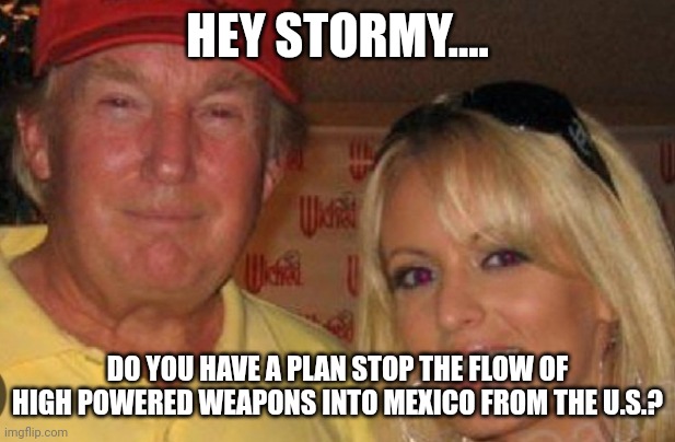 Lets see if he keeps his end of the bargain.  We know he doesn't pay debt, he files bankruptcy. | HEY STORMY.... DO YOU HAVE A PLAN STOP THE FLOW OF HIGH POWERED WEAPONS INTO MEXICO FROM THE U.S.? | image tagged in side chick | made w/ Imgflip meme maker