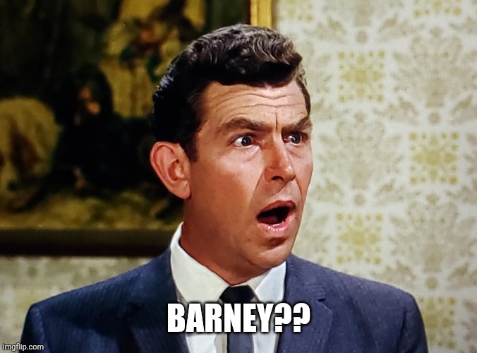 Shocked Andy | BARNEY?? | image tagged in shocked andy | made w/ Imgflip meme maker